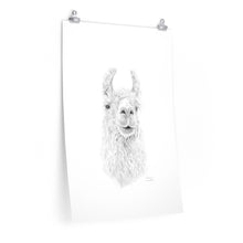 SABRINA Llama- Art Paper Print