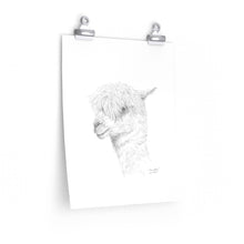 TIMOTHY Llama- Art Paper Print