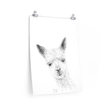 CAMRYN Llama- Art Paper Print