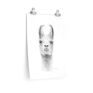 JOHANNES Llama- Art Paper Print