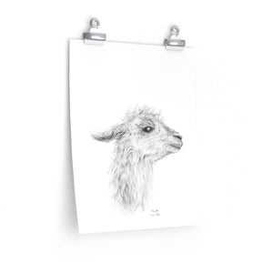 MENGKHA Llama- Art Paper Print