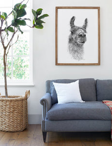 Living room art llama picture framed with gray couch
